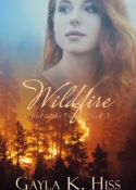 Wildfire, book 3 in Peril in the Park, by Gayla K. Hiss